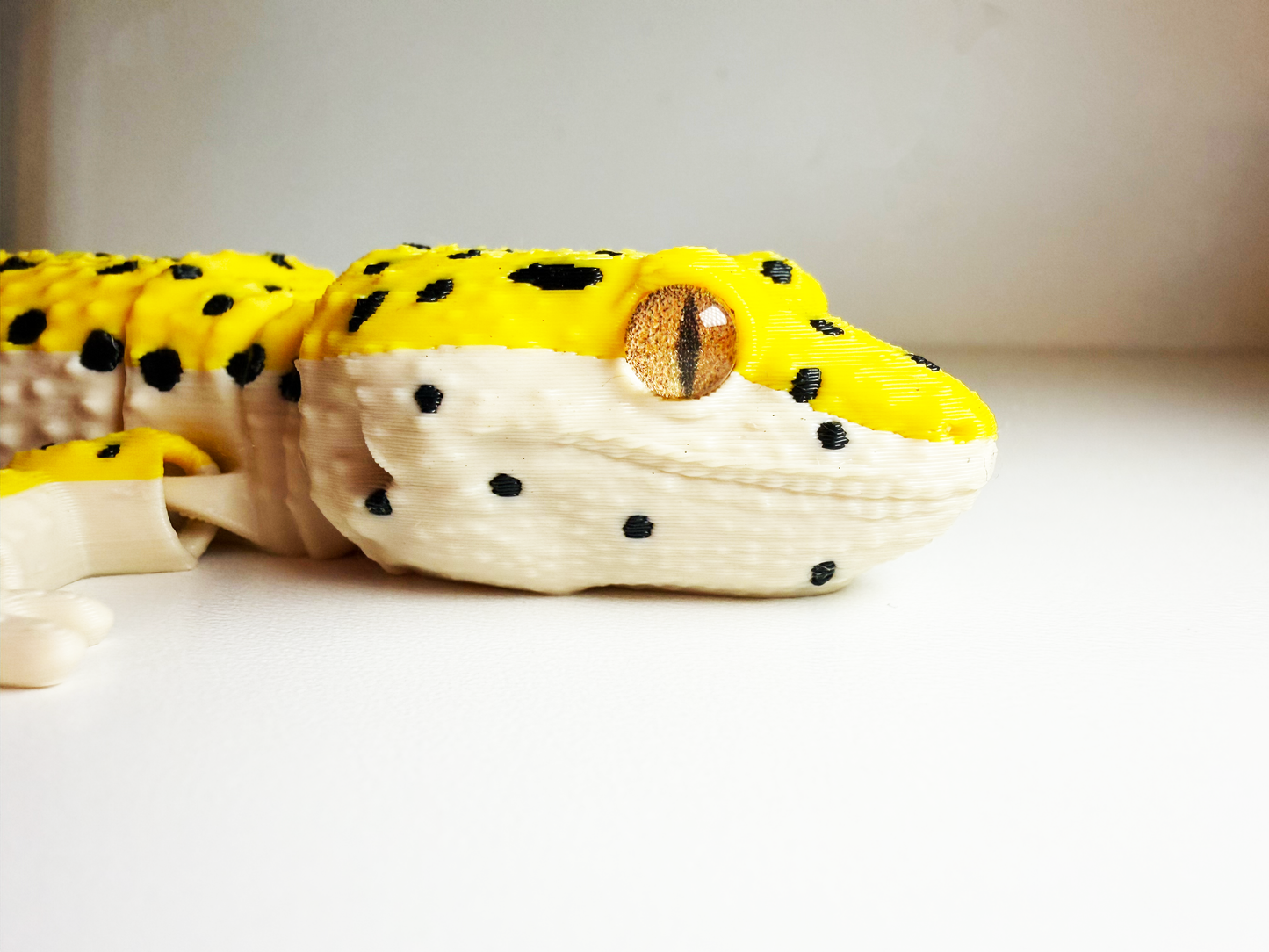 Leopard Gecko