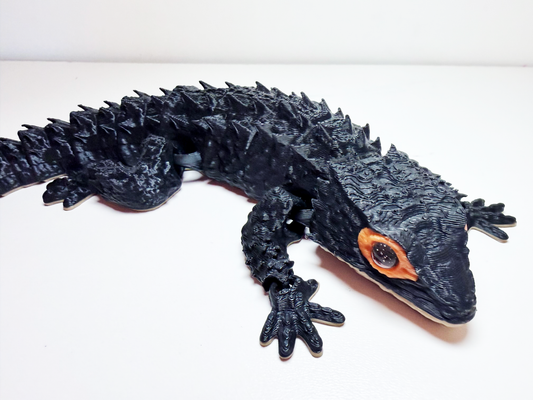 Red-Eyed Crocodile Skink