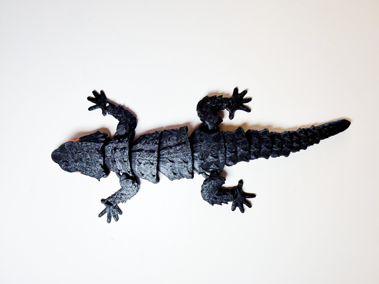 Red-Eyed Crocodile Skink