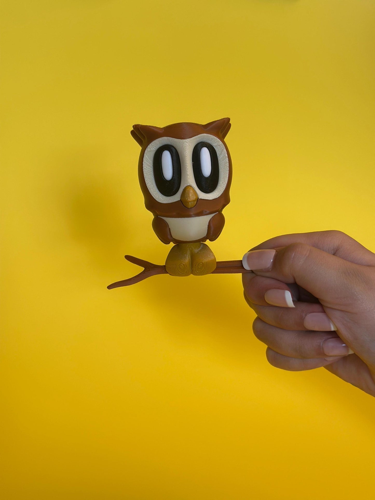 Soaring or Perched Owl