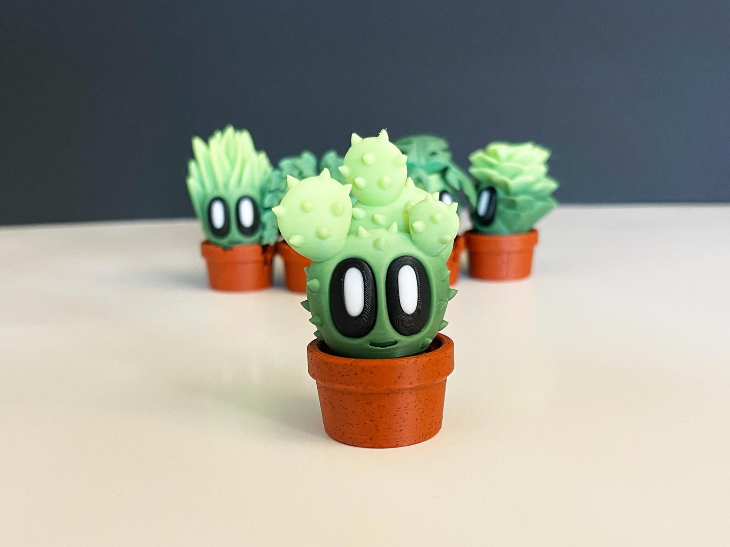 Pet Plants With Pots