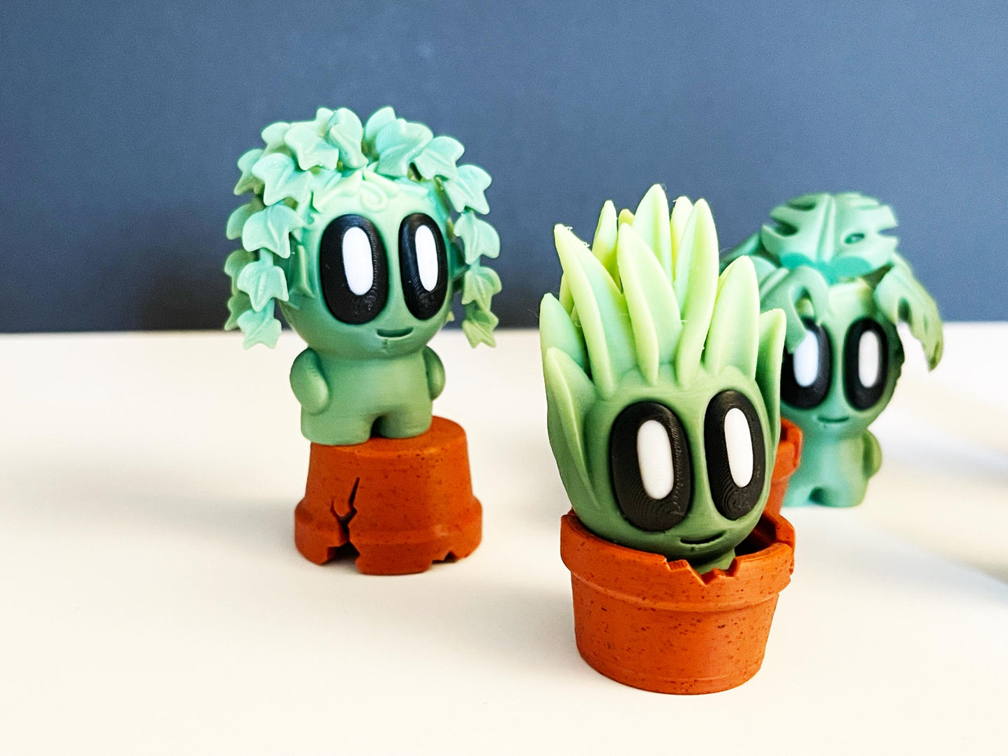 Pet Plants With Pots