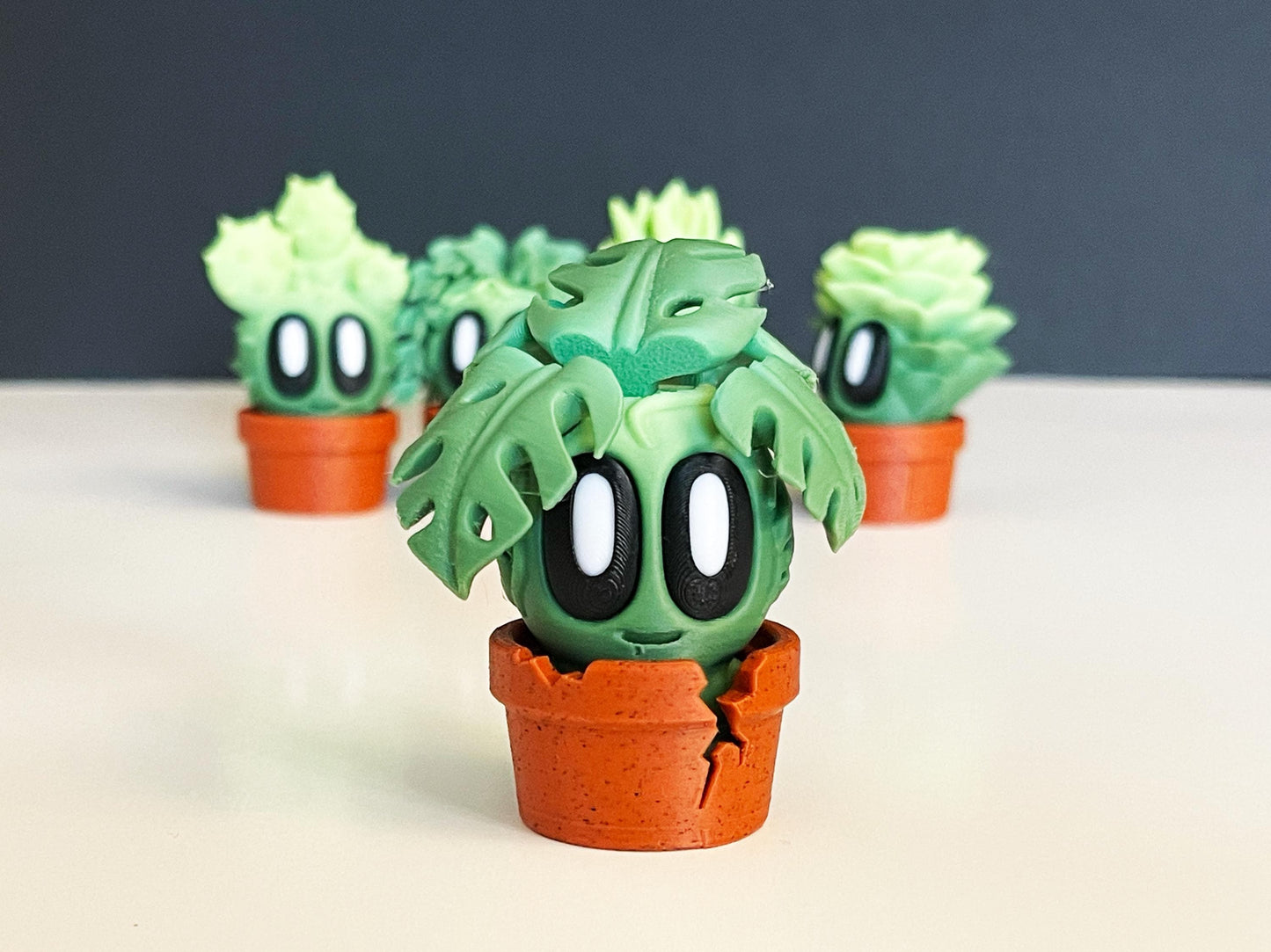 Pet Plants With Pots