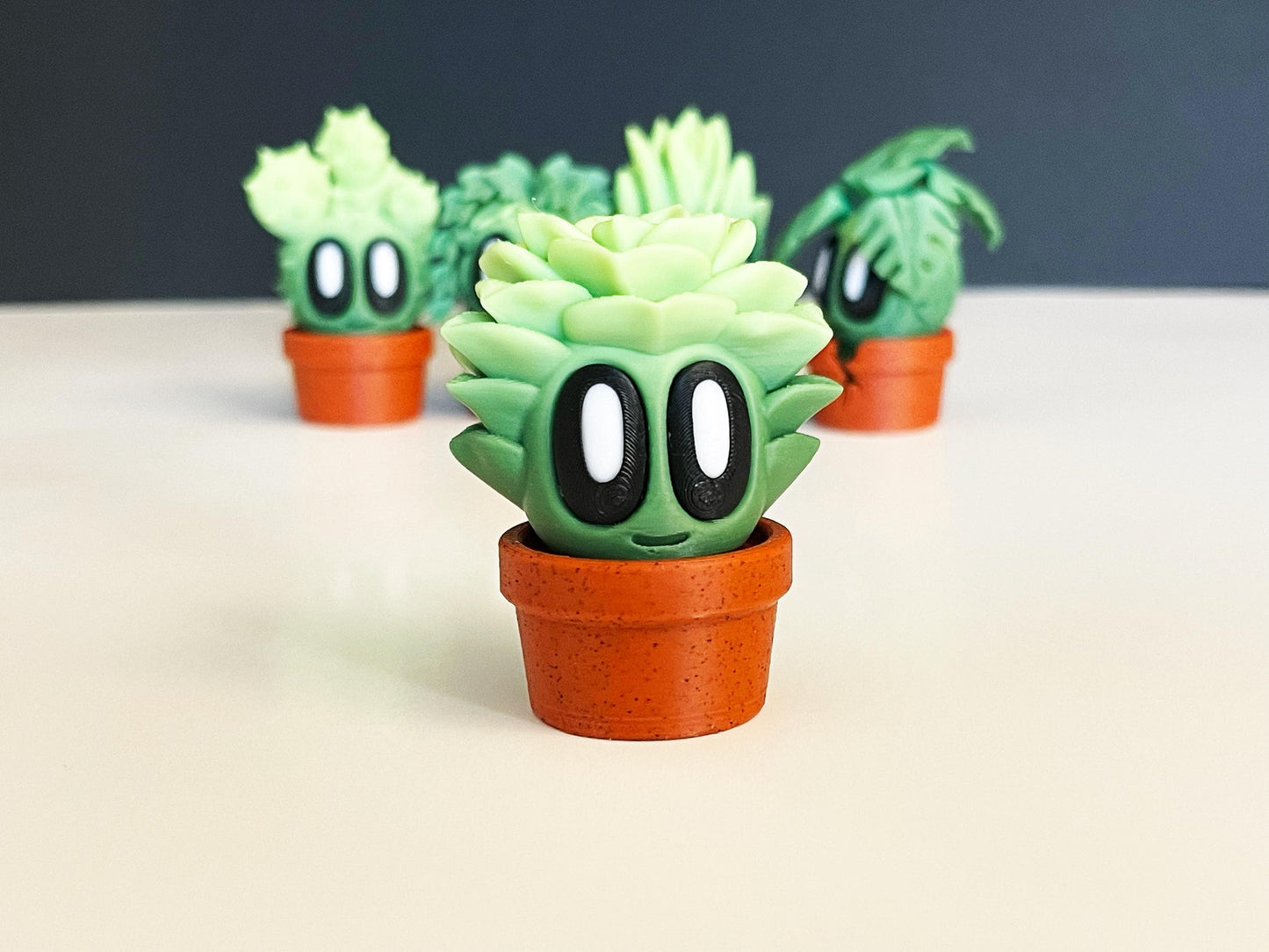 Pet Plants With Pots