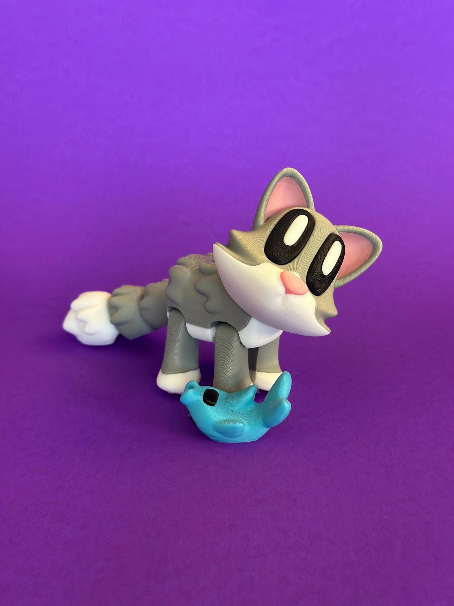 Cat With Magnetic Fish