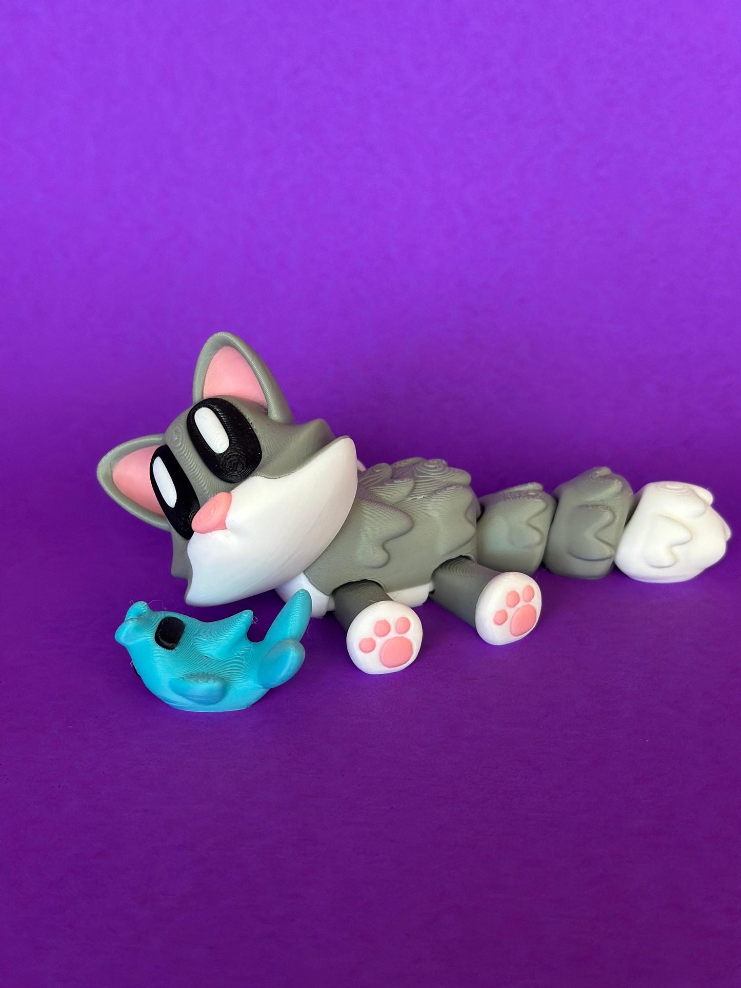 Cat With Magnetic Fish