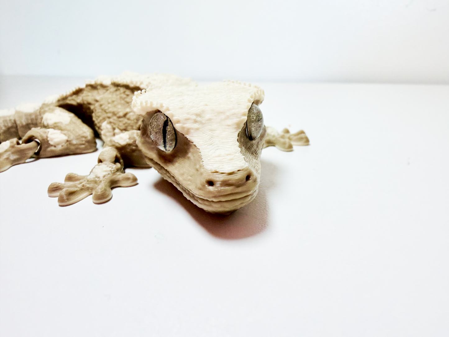 Crested Gecko