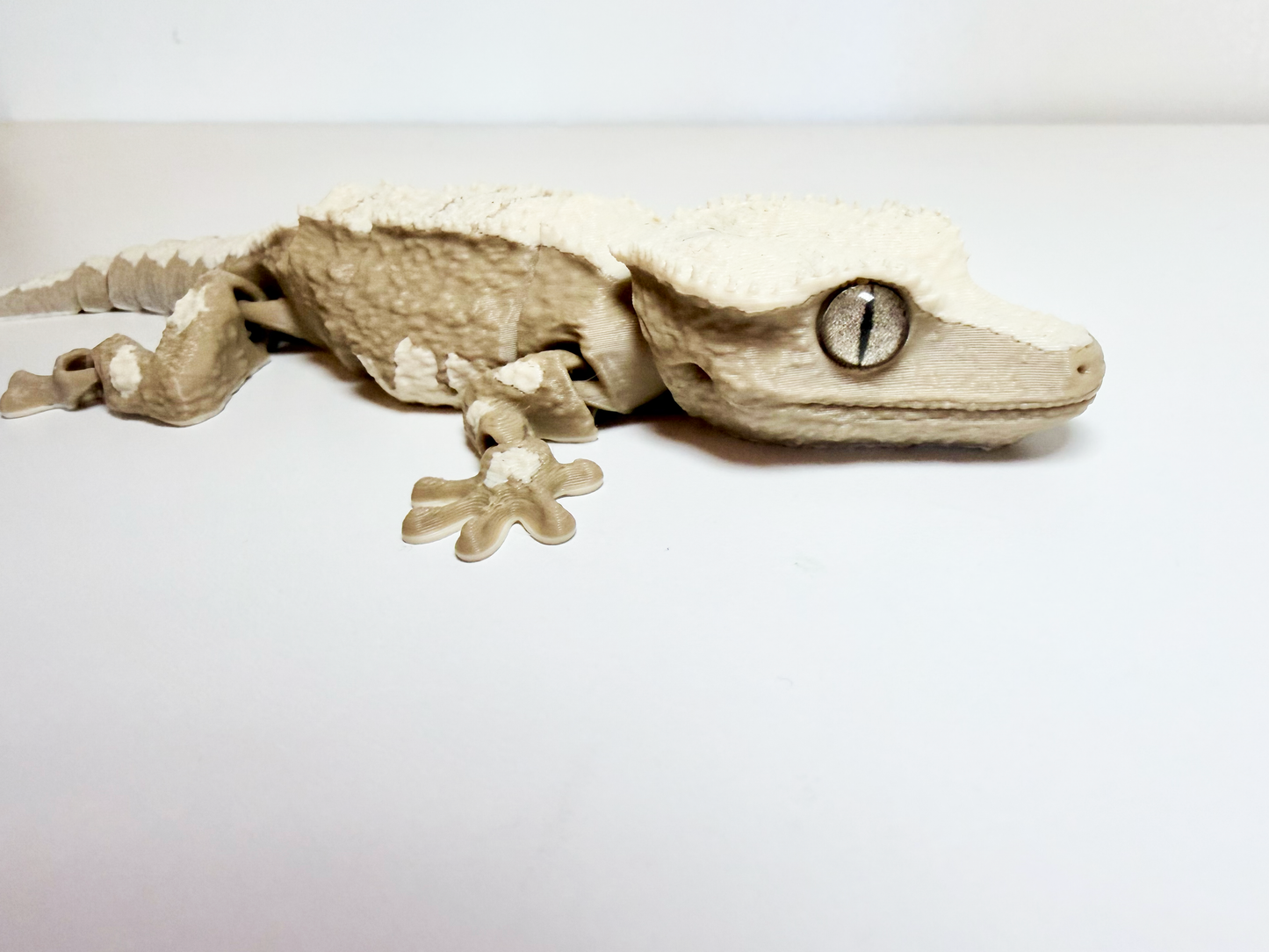 Crested Gecko