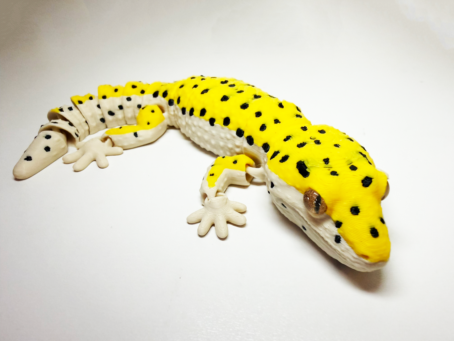 Leopard Gecko