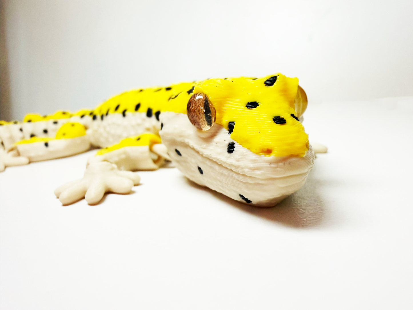 Leopard Gecko