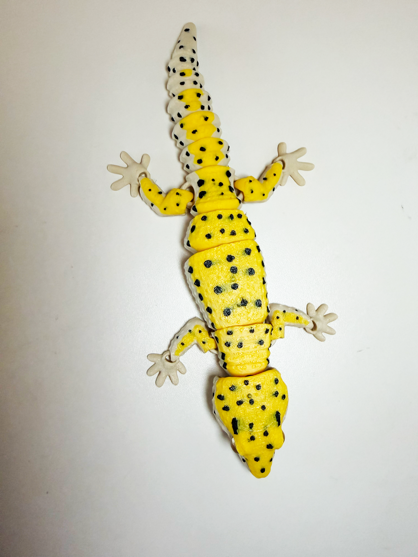 Leopard Gecko