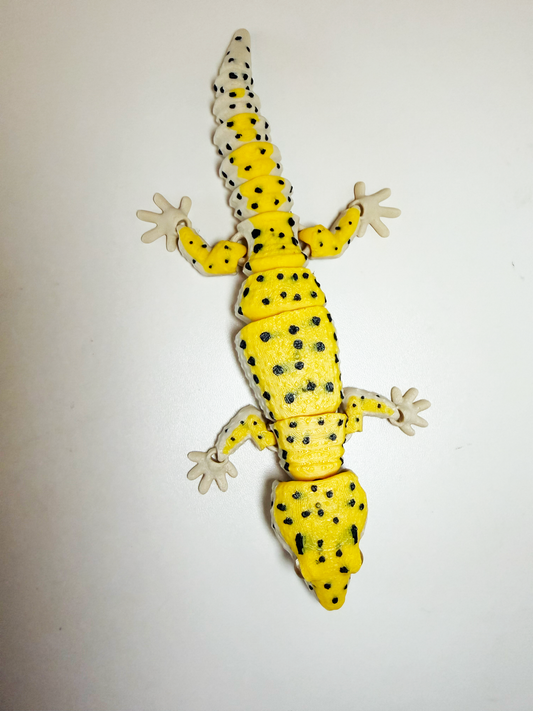 Leopard Gecko