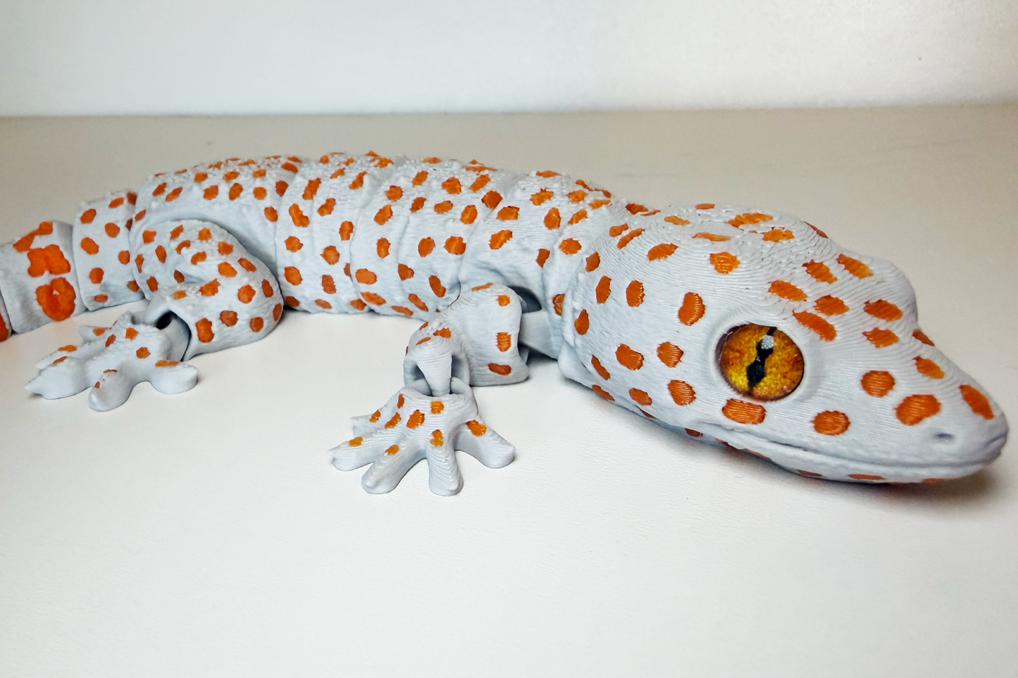 Tokay Gecko