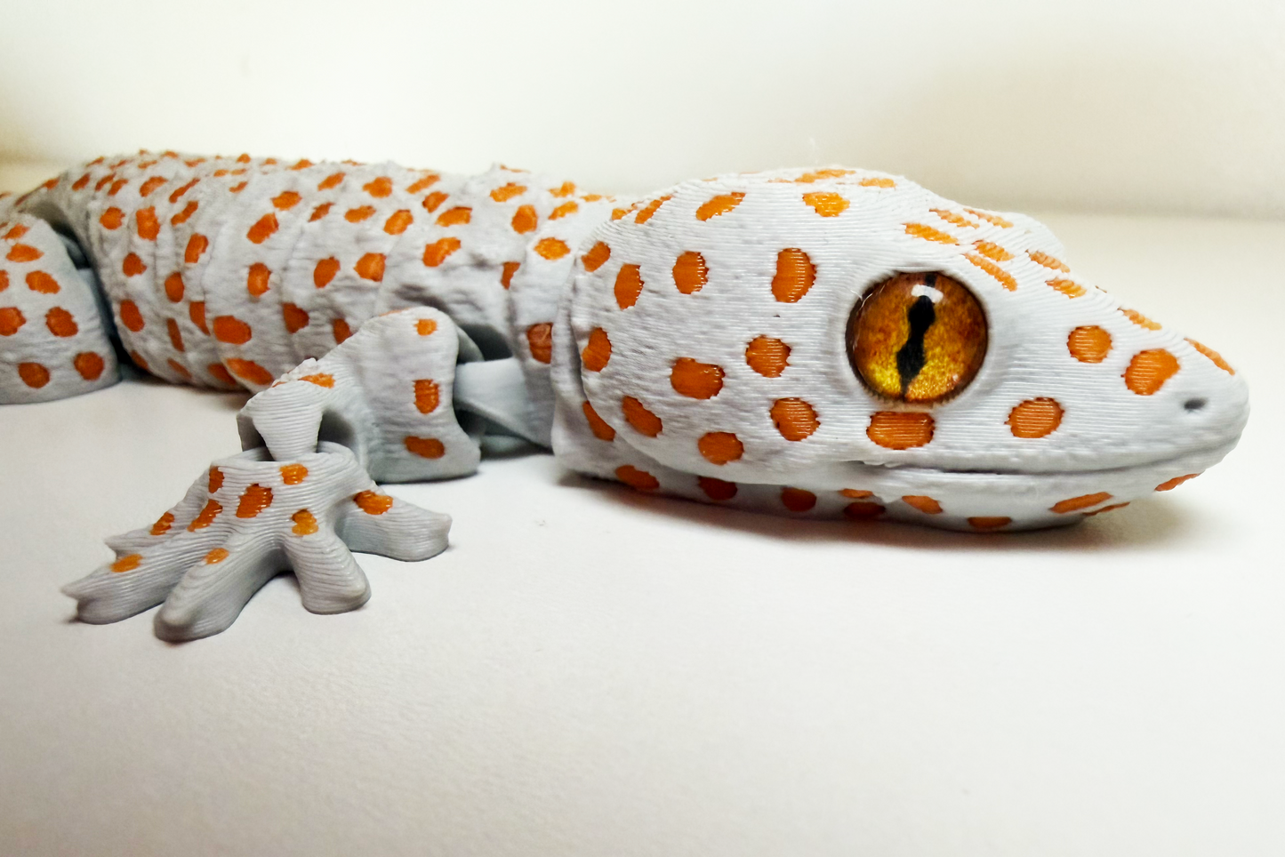 Tokay Gecko