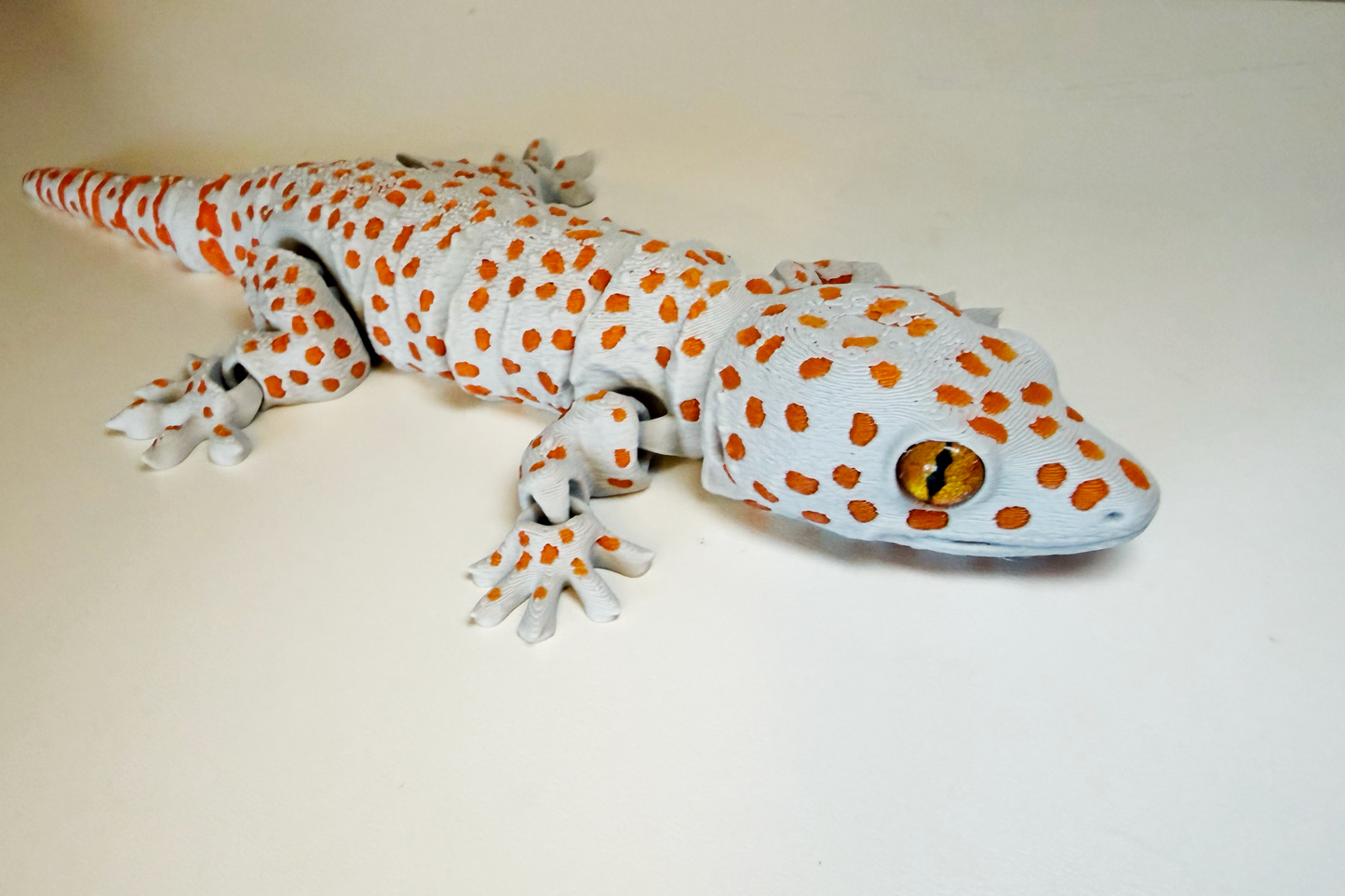 Tokay Gecko