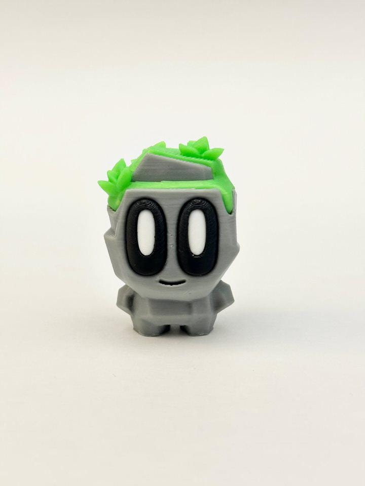 Pet Rocks