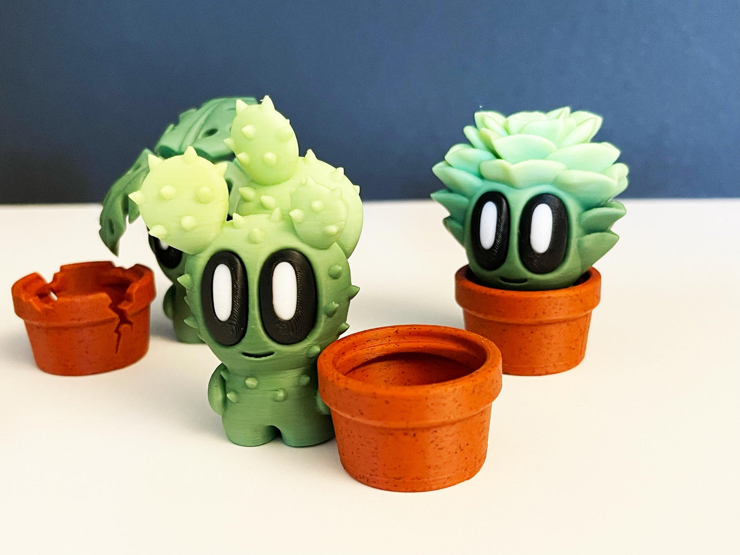 Pet Plants With Pots