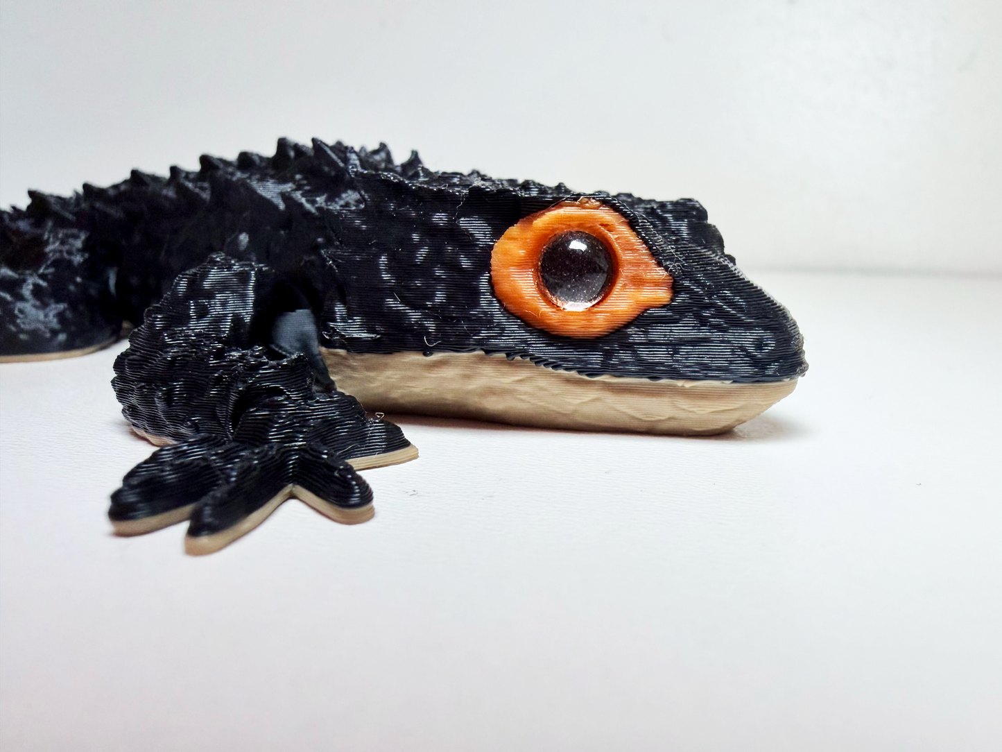 Red-Eyed Crocodile Skink