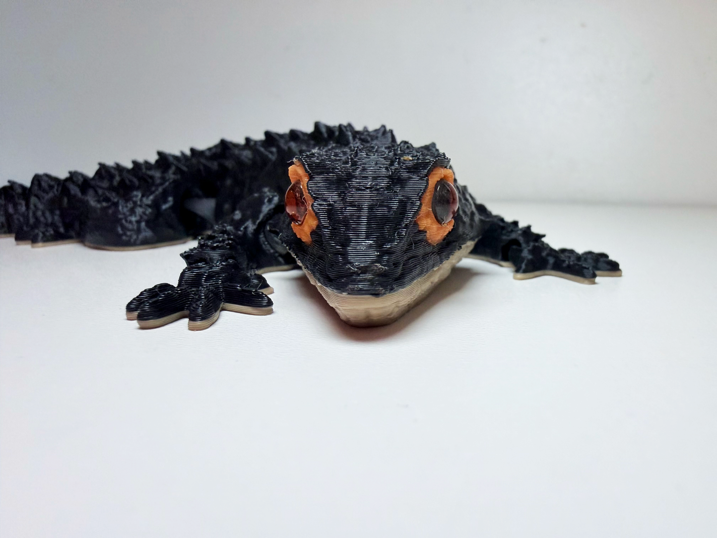 Red-Eyed Crocodile Skink