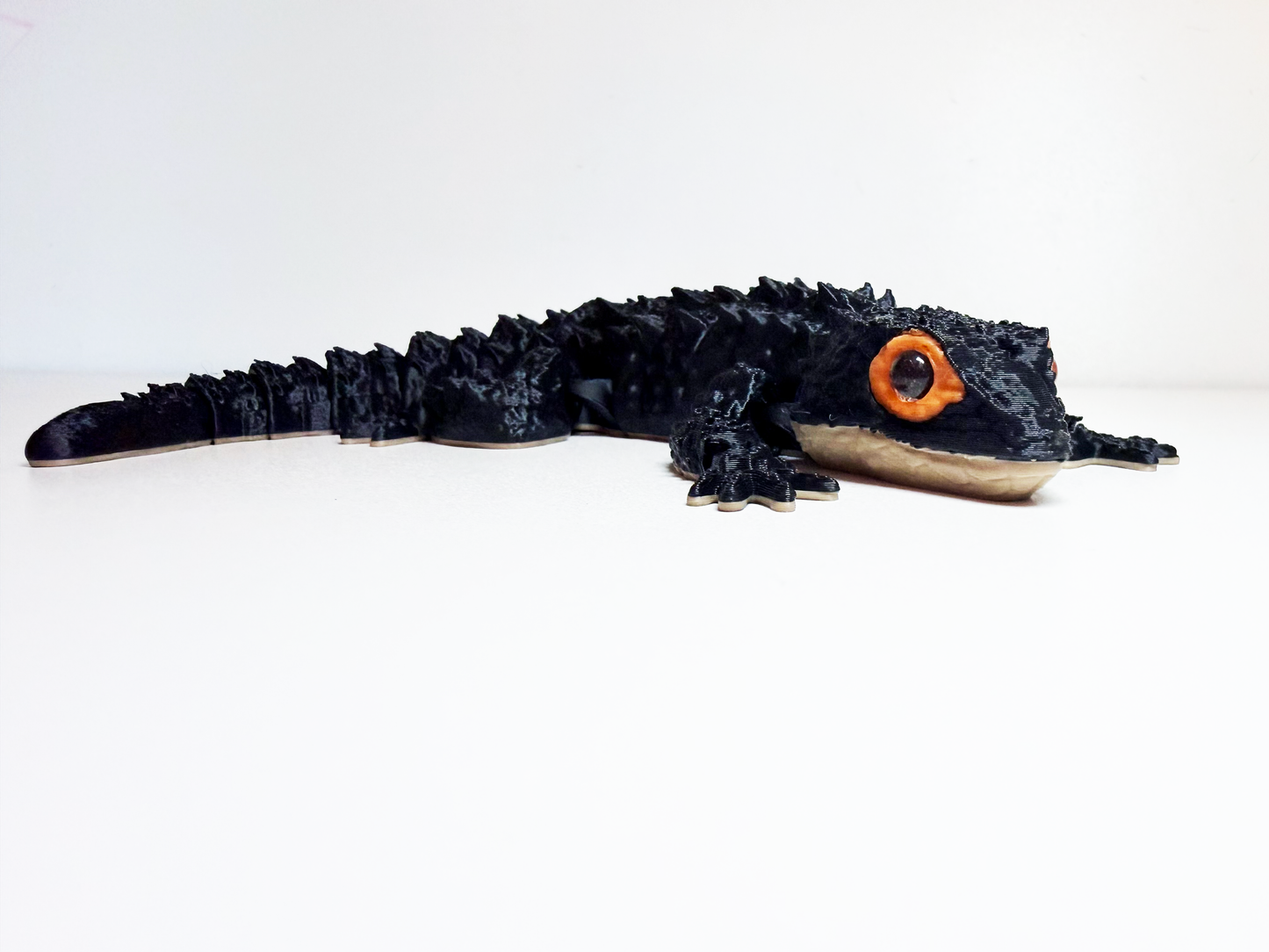 Red-Eyed Crocodile Skink