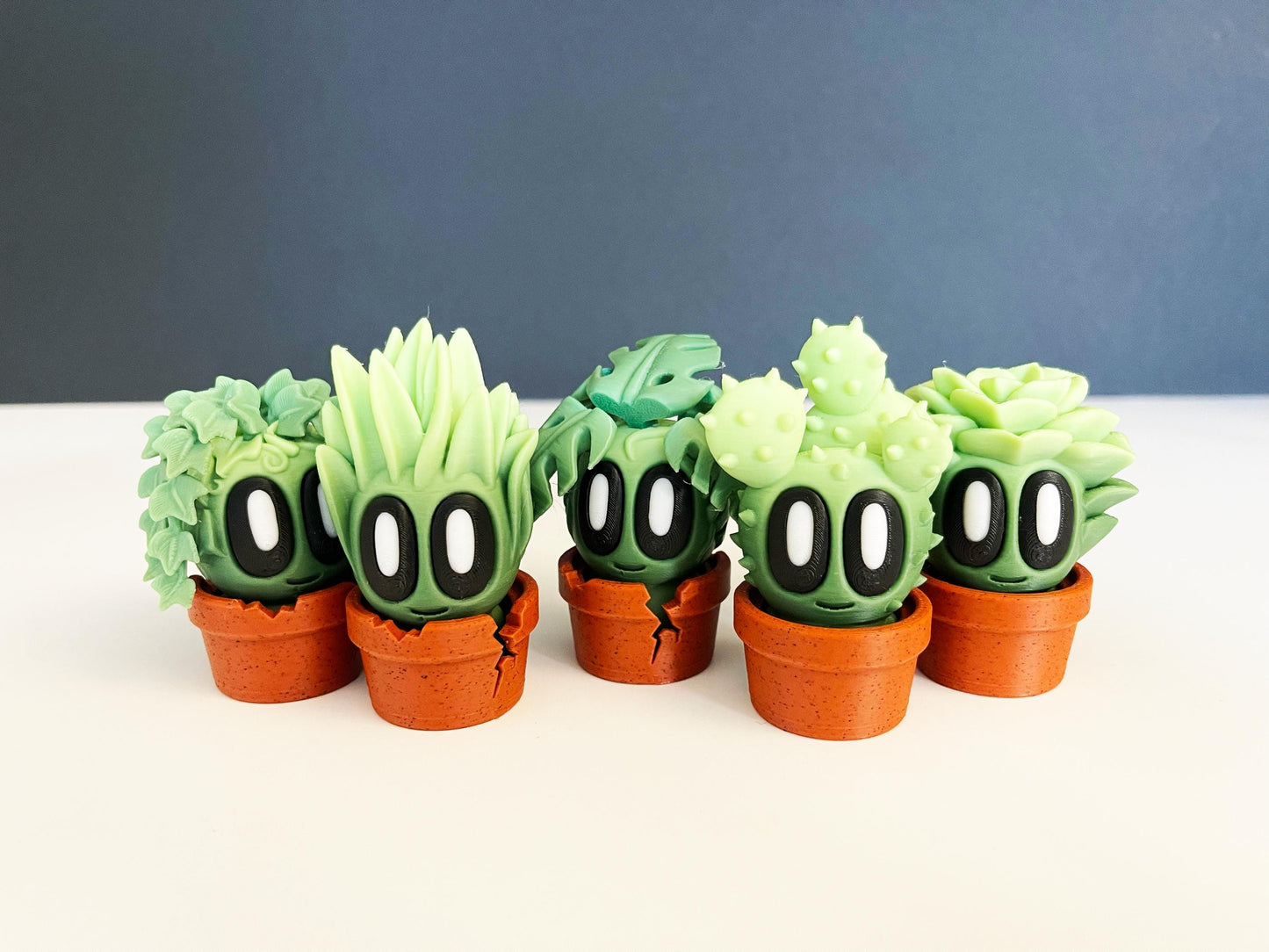 Pet Plants With Pots