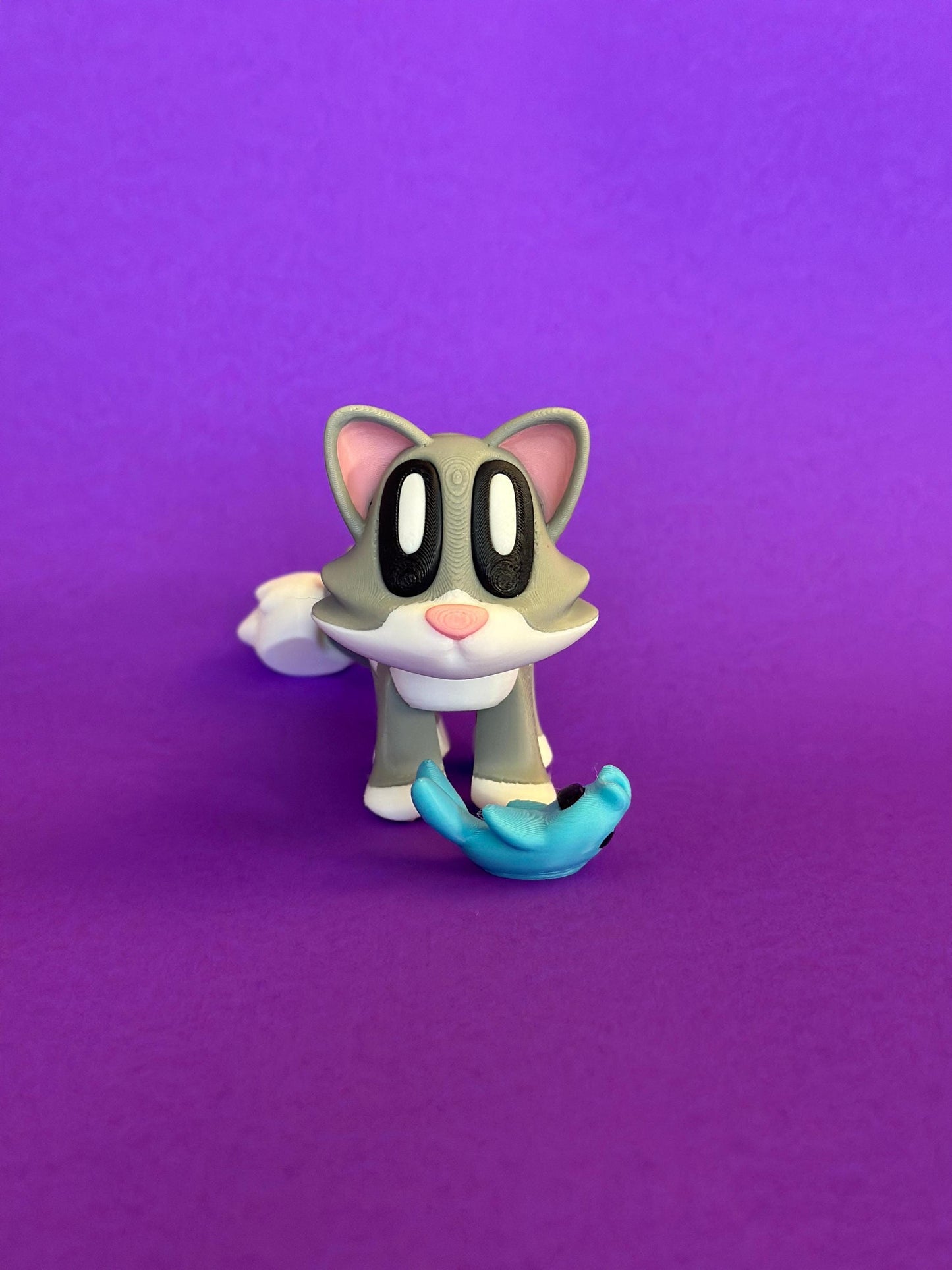 Cat With Magnetic Fish