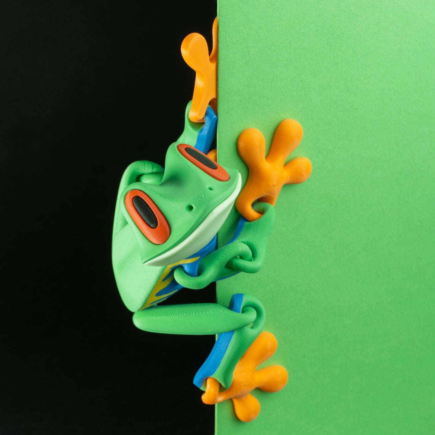 Articulated Tree Frog
