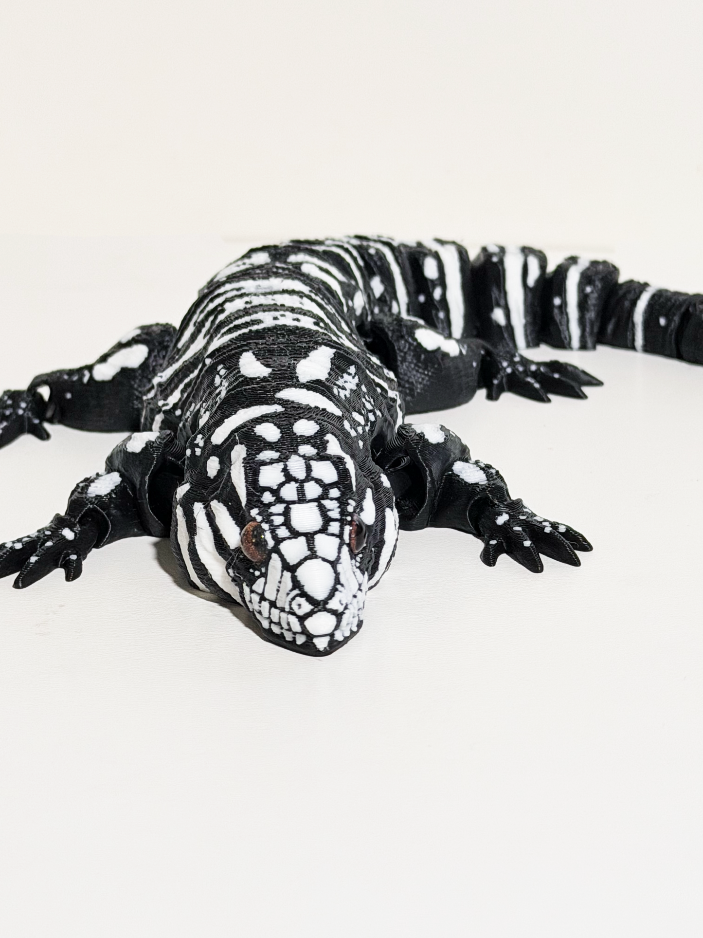 Argentine Tegu Lizards