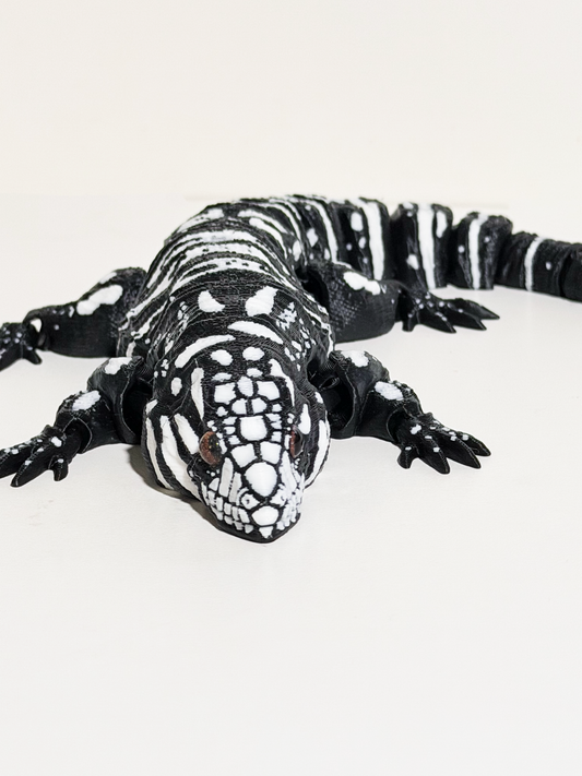 Argentine Tegu Lizards