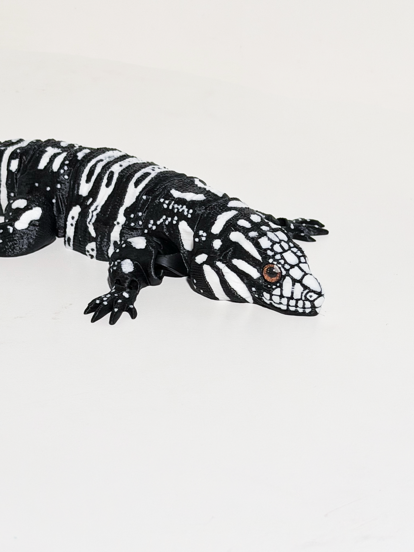 Argentine Tegu Lizards