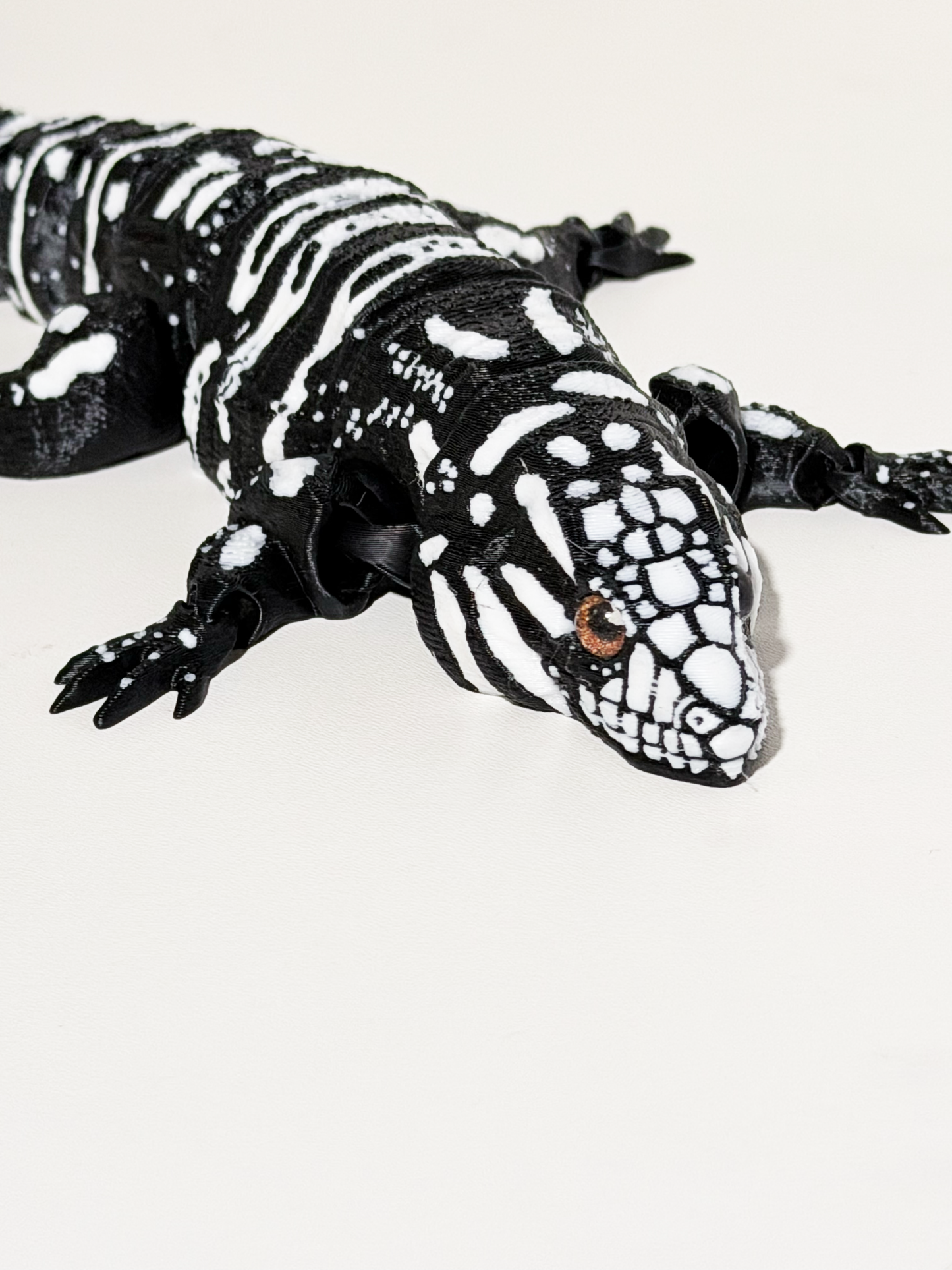 Argentine Tegu Lizards