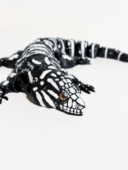 Argentine Tegu Lizards